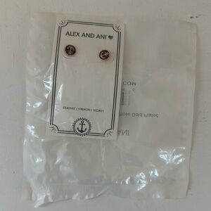 Alex and Ani, anchor post earrings